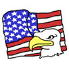 Patriotic Bald Eagle